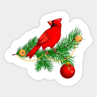 red cardinal on a spruce branch Sticker